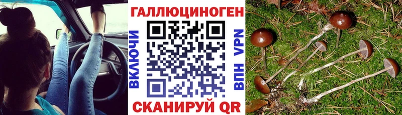 как найти закладки  Петропавловск-Камчатский  Псилоцибиновые грибы MAGIC MUSHROOMS 